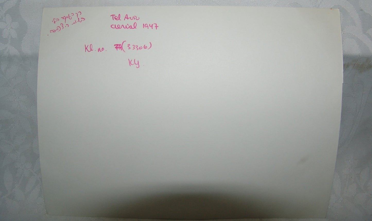 Jewish Judaica Palestine Israel Tel Aviv 1947 Copy Press Photo