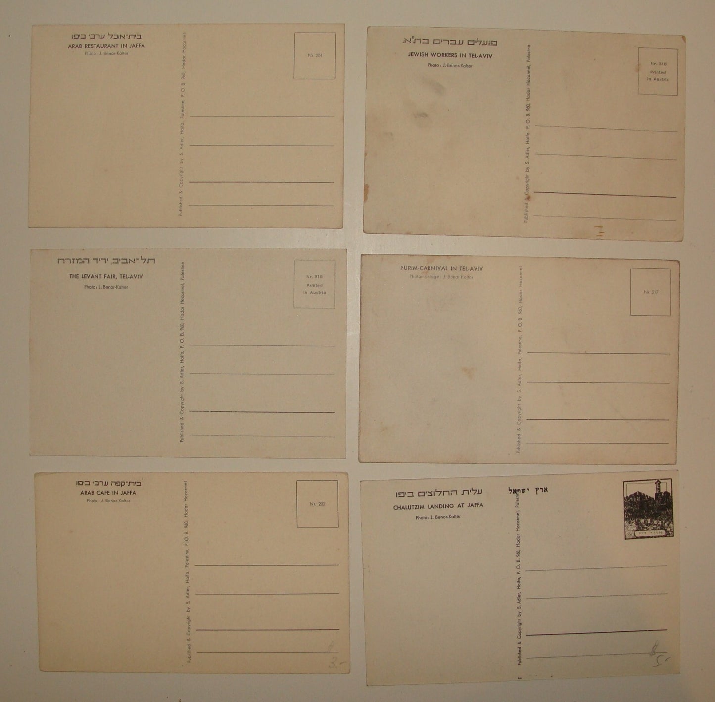 Photo Palestine Card Jewish Judaica Israel TEL AVIV Jaffa Postcard x6 BENOR