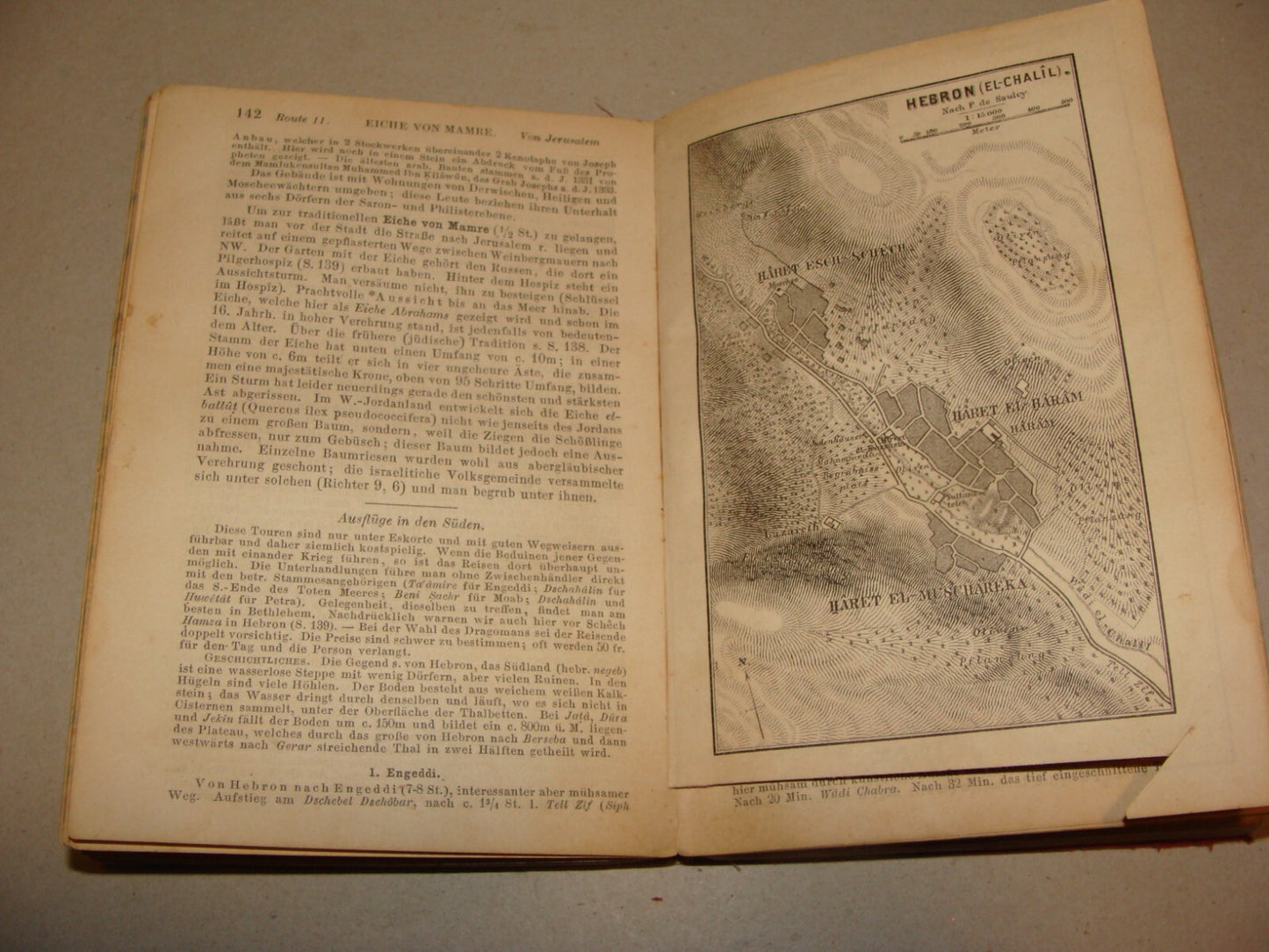 1891 PALESTINE AND SYRIA Baedeker Travel Book Map Guide *Condition