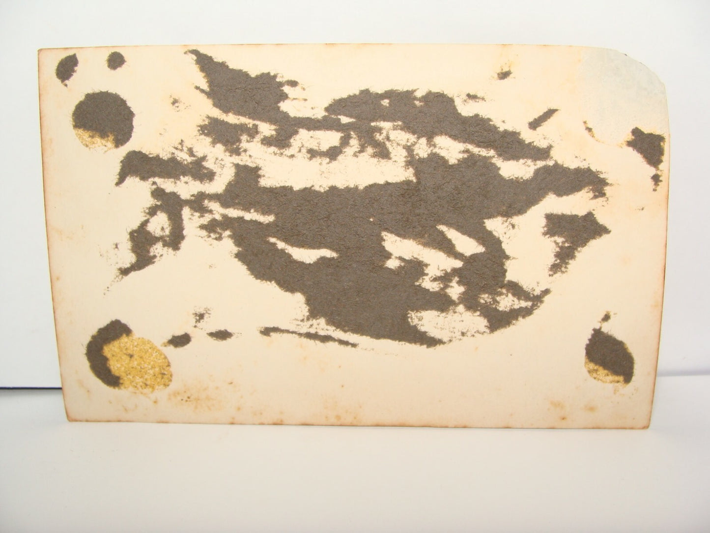 Photo Palestine Ad Jewish Israel Israeli Workers Parade Socialist Communist