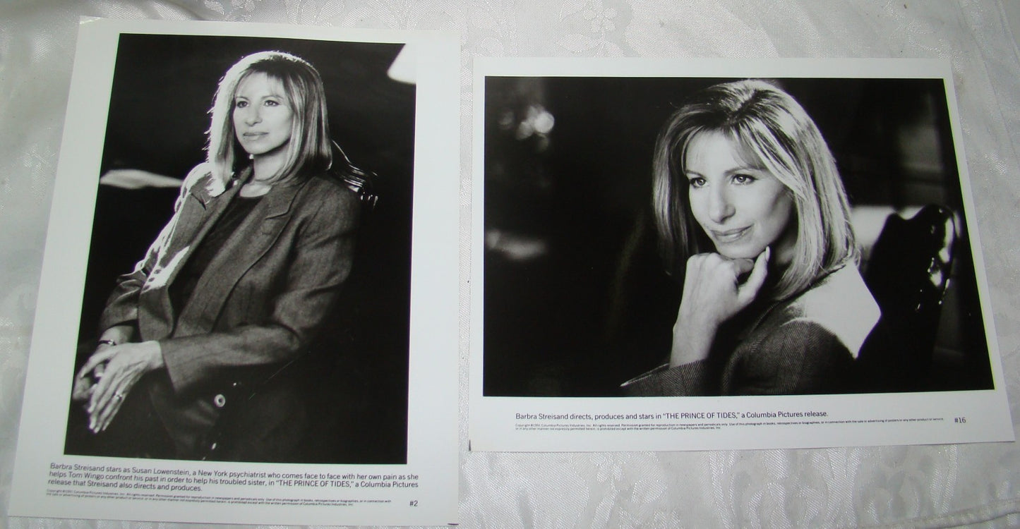 1991 Press Photo Actress Barbra Streisand The Prince of Tides movie