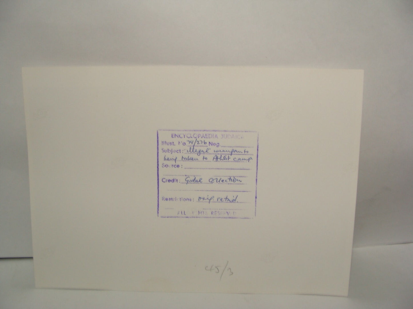 Photo Print 194?Jewish Zionist Palestine Israel Immigrants Atlit Camp TIM GIDAL