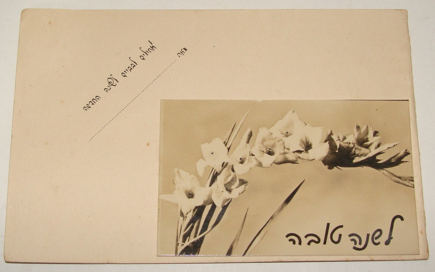 Jewish Judaica Israel Israeli Hebrew 1949 Shana Tova New Year Card Map