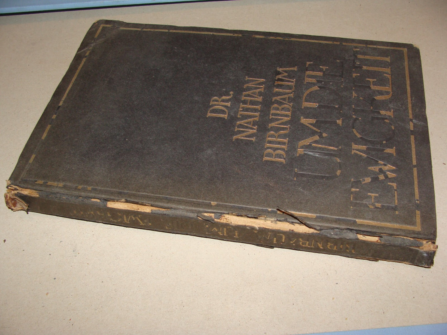 Germany Book Jewish Judaica 1920 German Nathan Birnbaum Philosophy Zionism