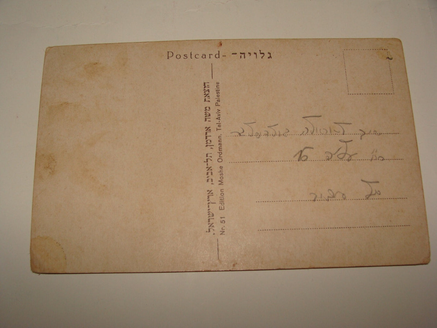 Photo Palestine Card Jewish Israel Kibbutz DEGANIA Postcard Ordmann New Year