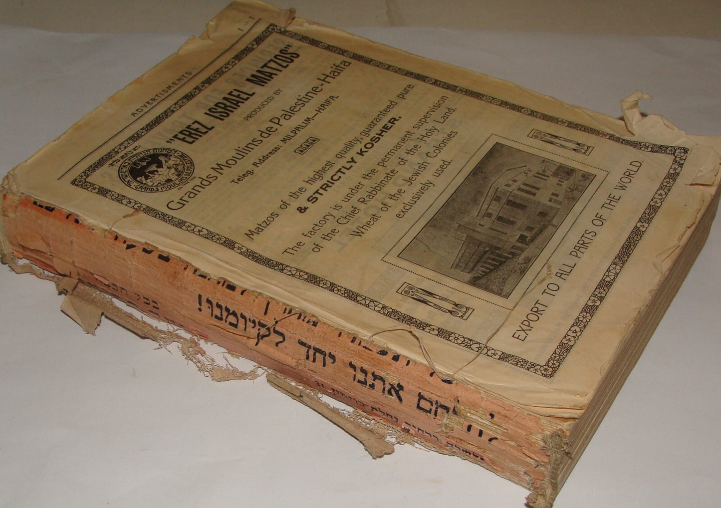 Book Jewish RARE Judaica 1926 Palestine Israel GUIDE Hebrew Ads Info Industry