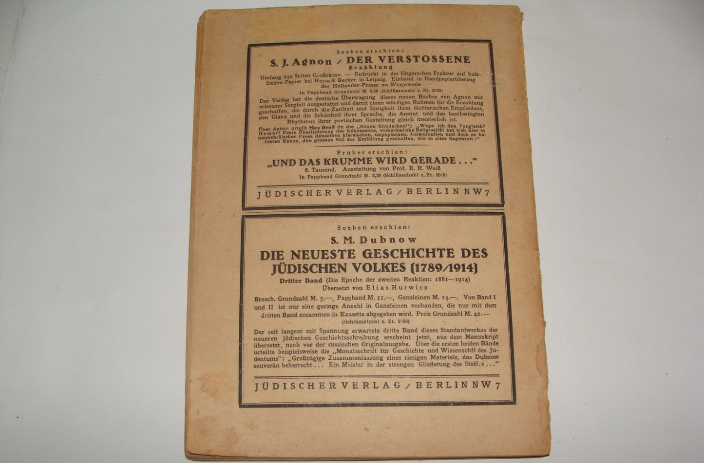 Germany Jewish Judaica 1923 Berlin Martin Buber Der Jude Philosophy Literature