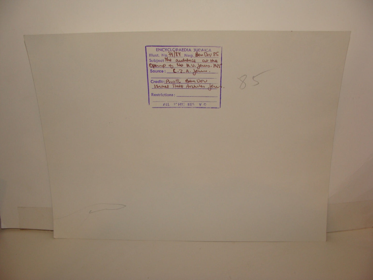 Photo Print, 1925 Jewish Judaica Palestine Israel Jerusalem Hebrew University