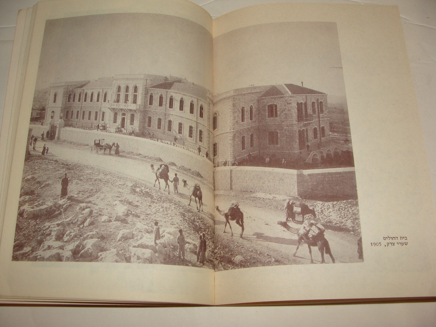 Book Jewish Judaica Israel Israeli Jerusalem History Rare Photos