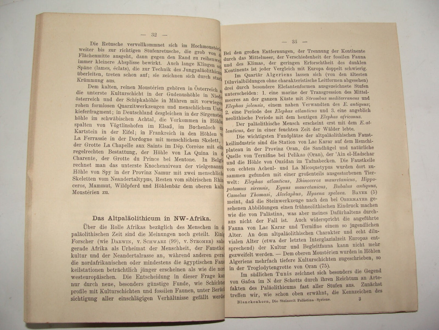 1921 Palestine Syria North Africa Blanckenhorn Geology History Book German Map