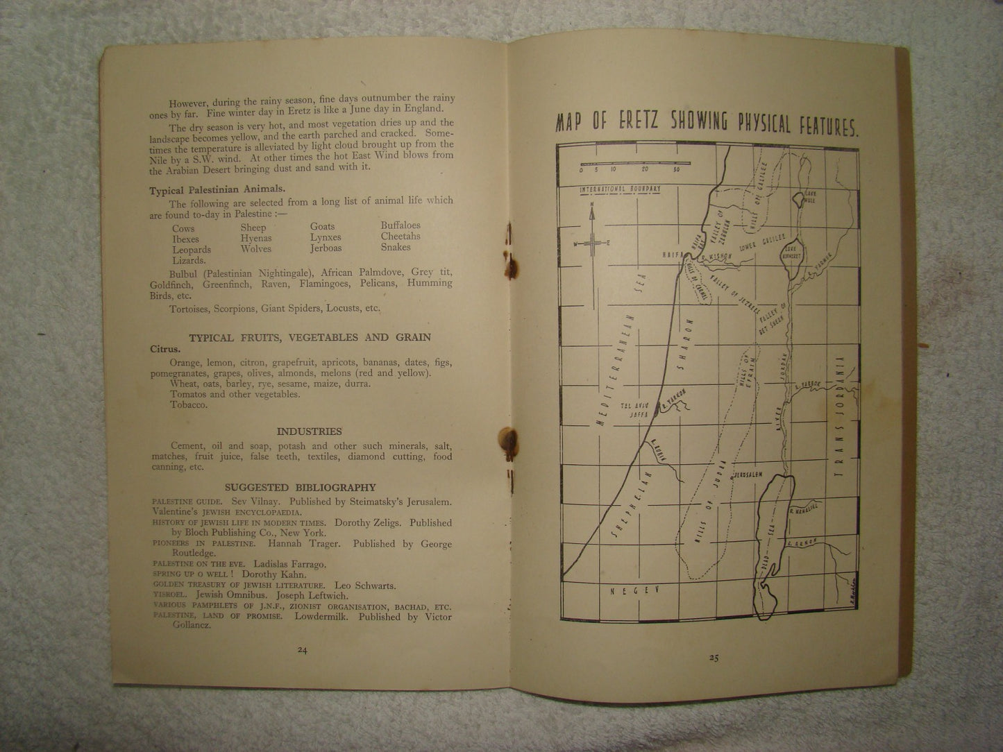 Jewish Youth WW2 1945 Bnei Akiva Handbook Britain Religious Zionist Map Hebrew