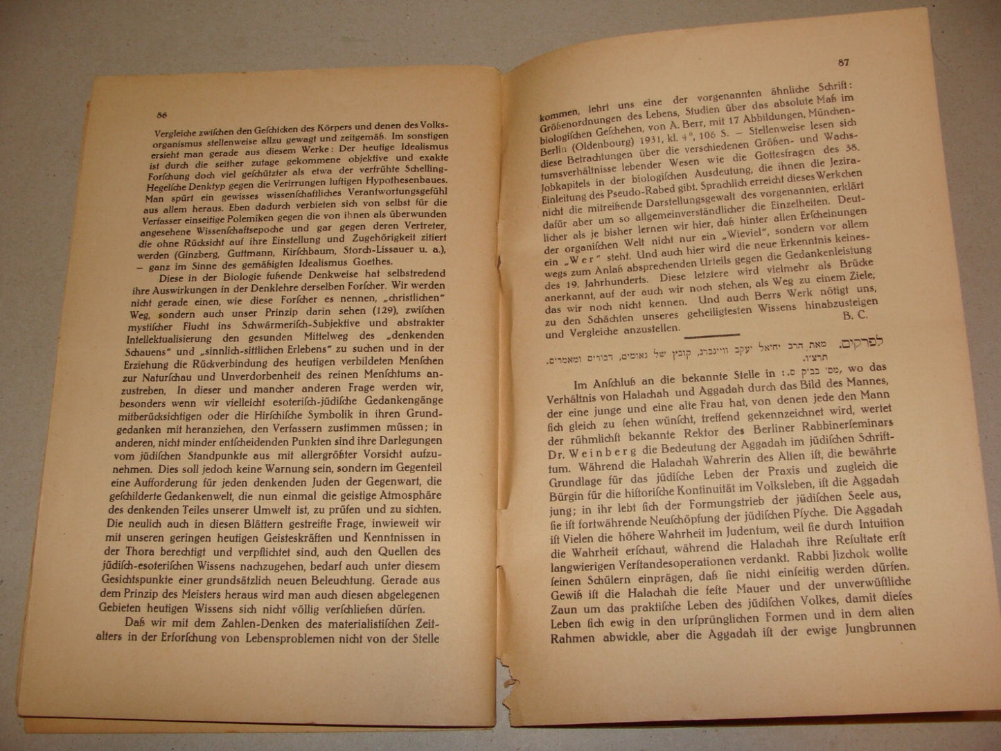 Germany Booklet Jewish Judaica 1946 German Frankfurt NACHALAT ZWI