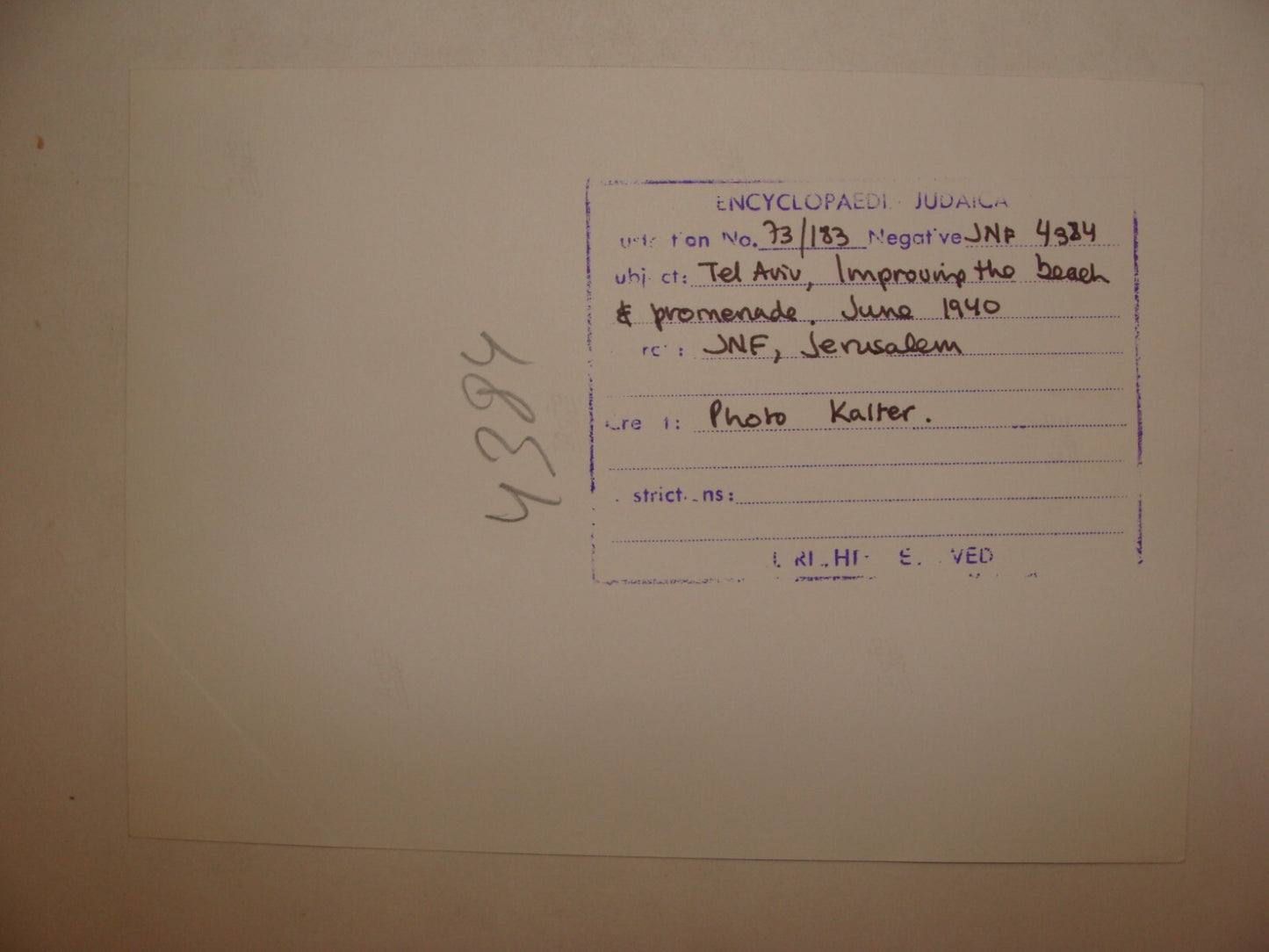 Photo Print, 1940 Palestine Israel TEL AVIV Beach Jewish Judaica KALTER