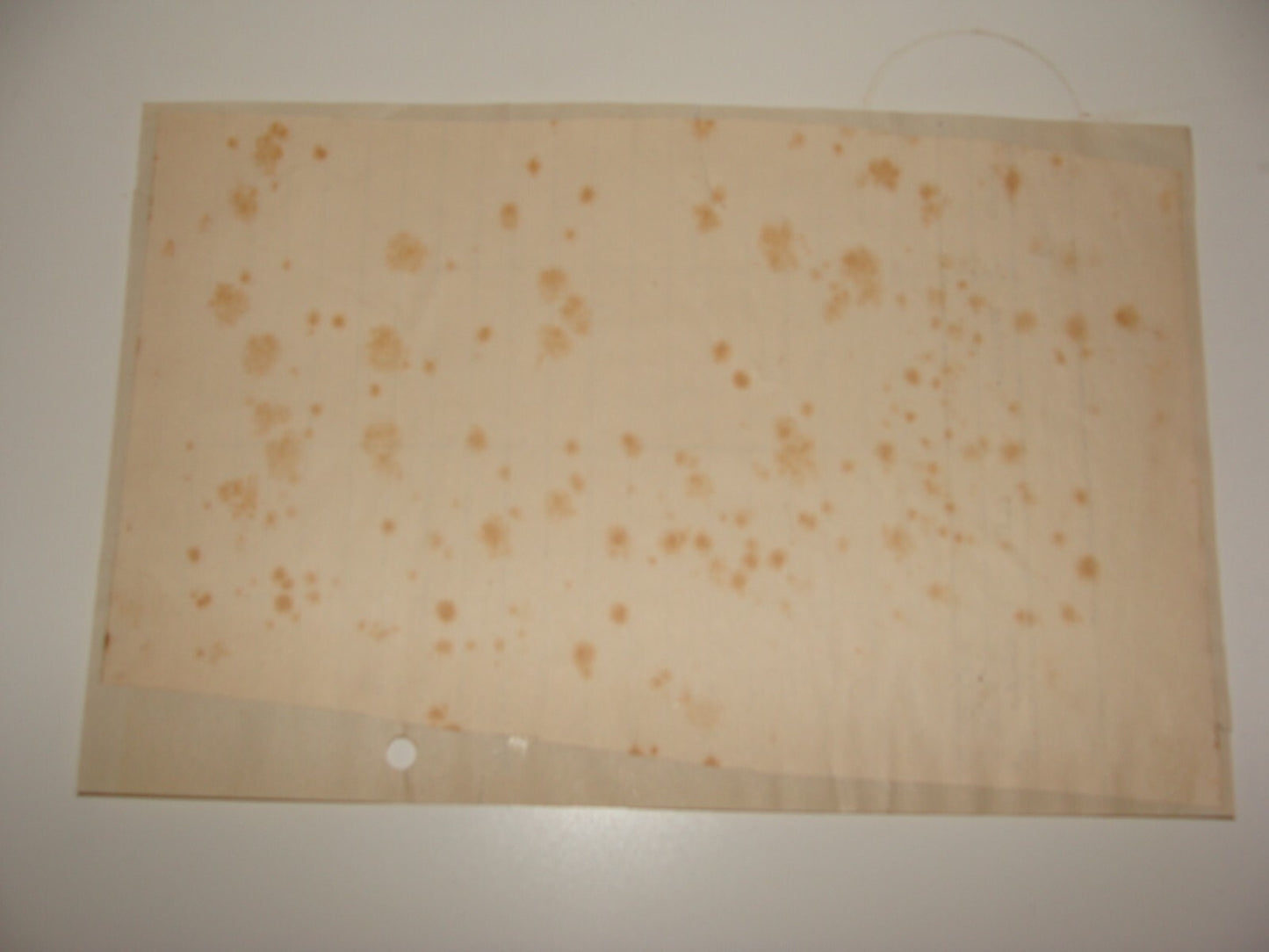 $ Journal Jewish Judaica 1922 American Morning NY Letter Yiddish Signed FISHMAN