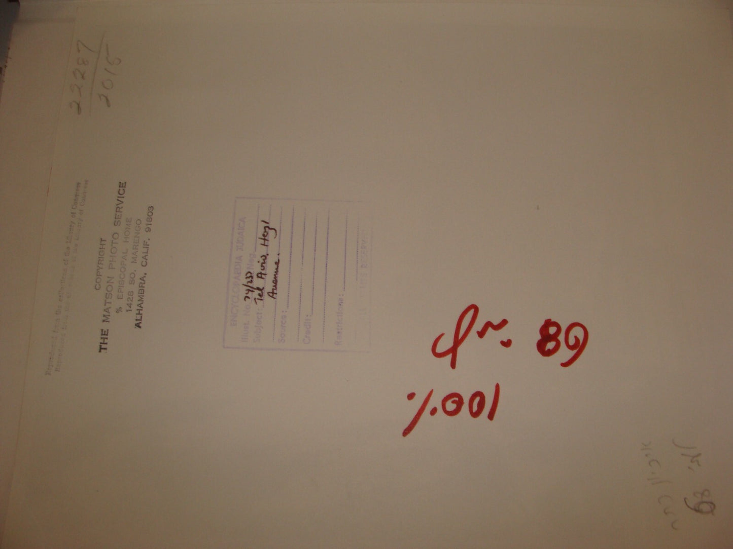 Photo Print Palestine MATSON , 1920s Israel TEL AVIV Herzl Avenue Jewish Hebrew