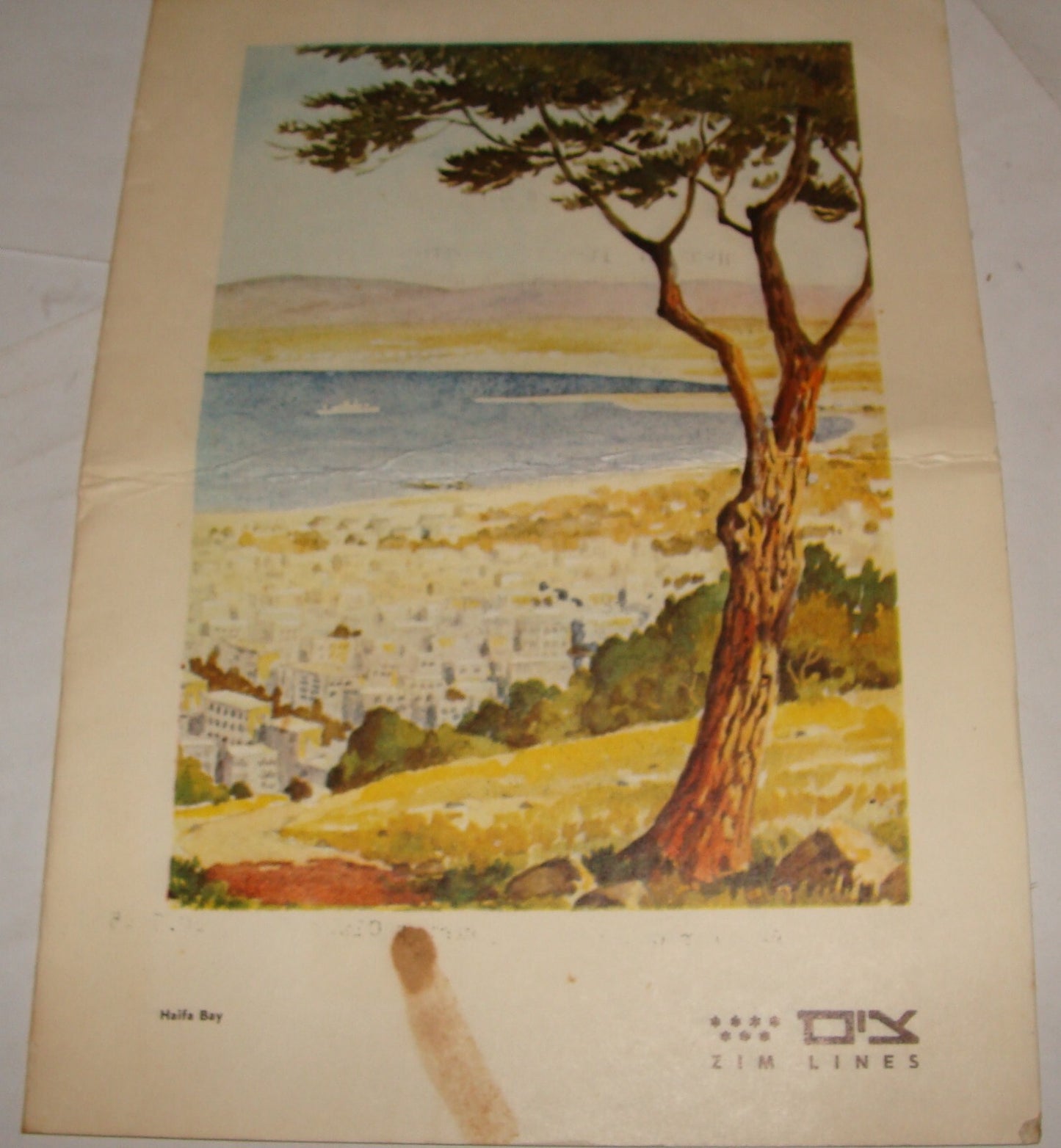 Navigation Jewish Judaica 1965 Israel Israeli Menu Hebrew Ship Herzl ZIM Company