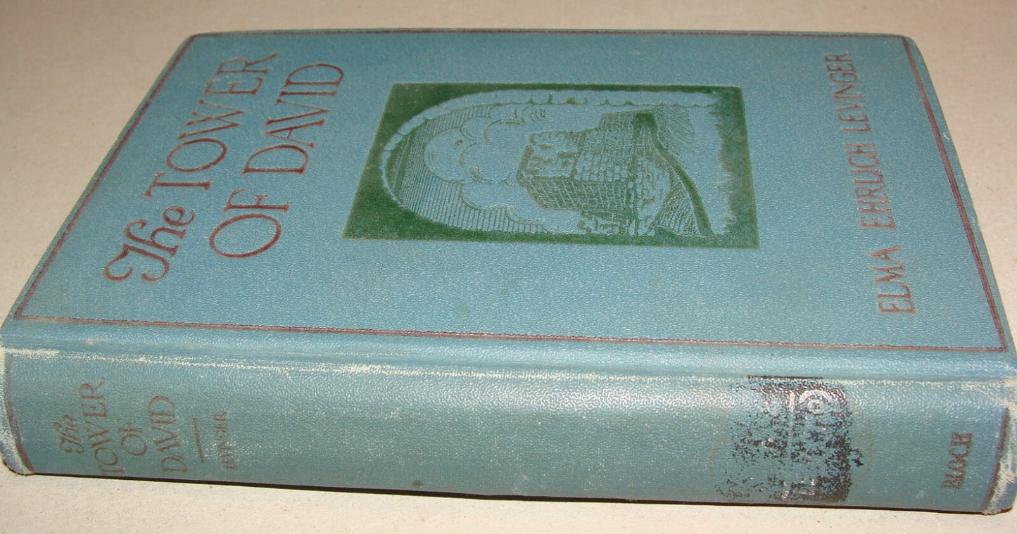 $ Book Jewish American Judaica 1924 THE TOWER F DAVID Elma Ehrlich Levinger