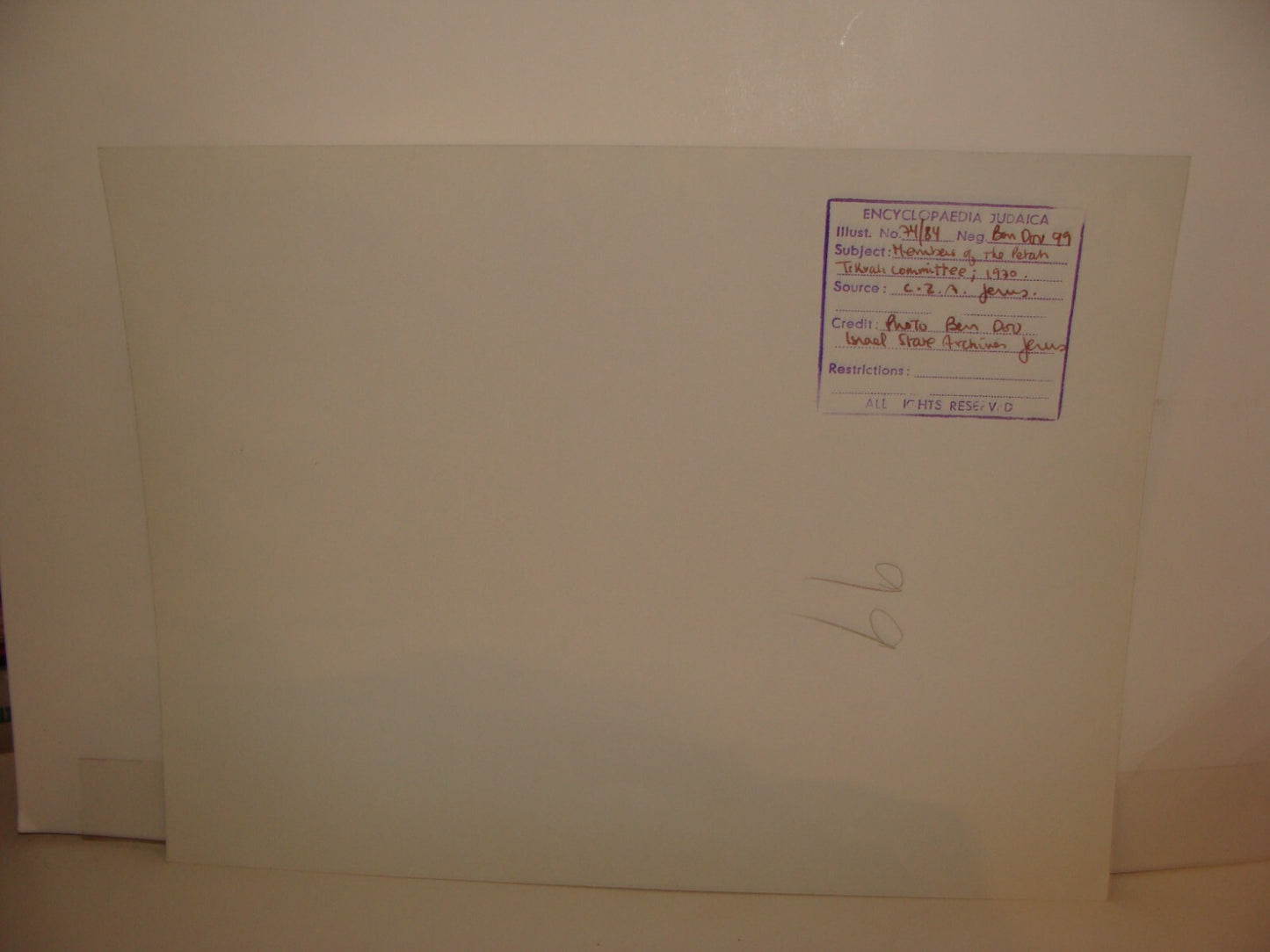 Photo Print, 1930 Jewish Judaica Petach Tikva Council Israel Palestine