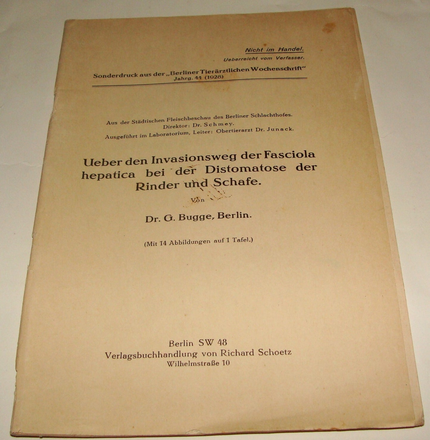 Germany 1920s German Medical Health Biology Meat Food Worms Paper Dr Bugge