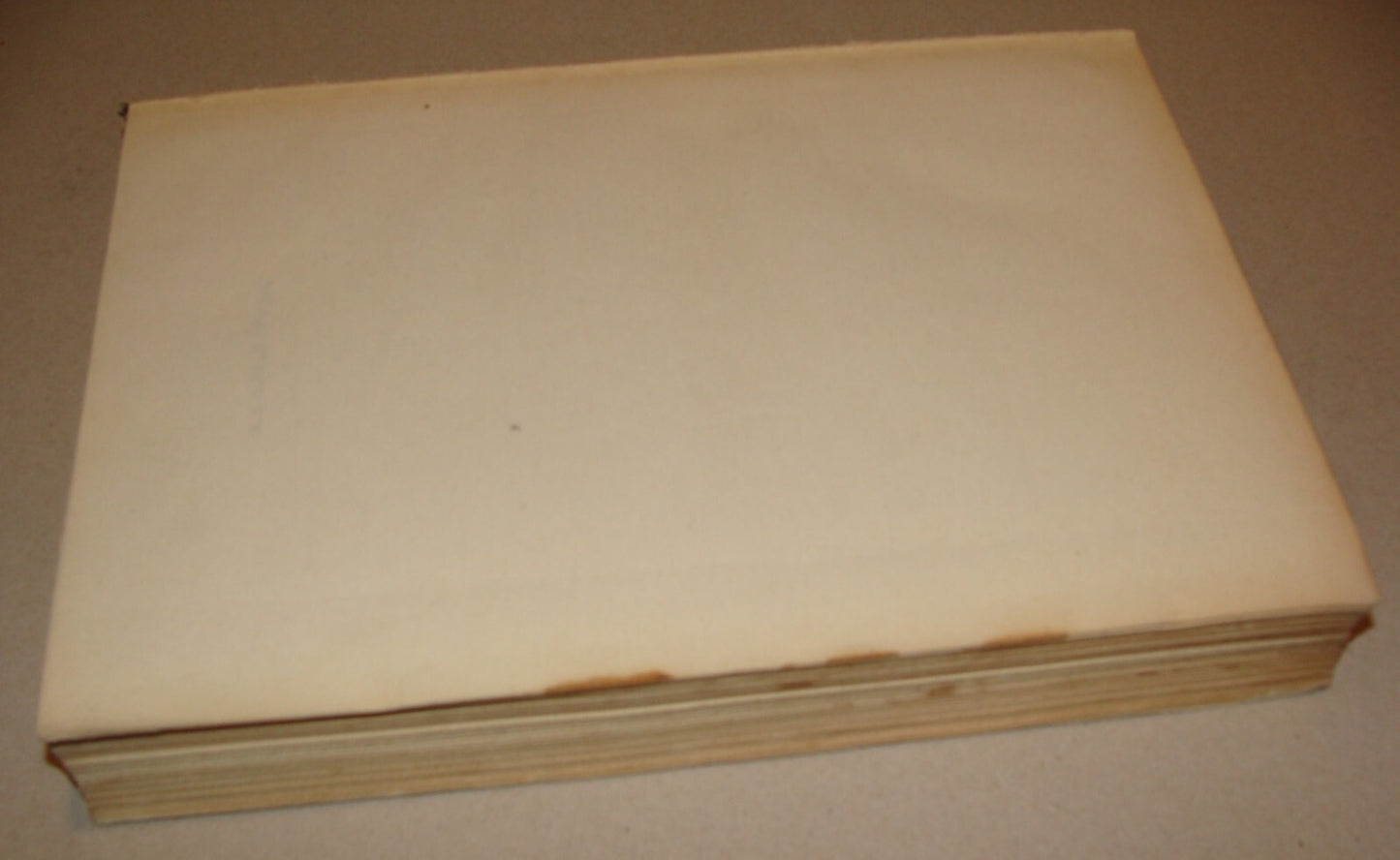 Book Jewish Judaica 1931 Palestine Israel Yiddish Zionist Women Rachel Ben Zvi