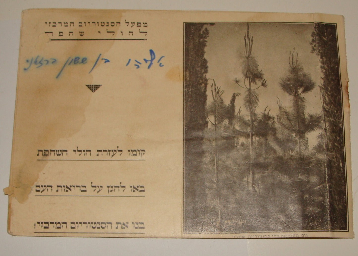 Booklet Palestine 1930s ANTI TUBERCULOSIS LEAGUE OF Israel Hebrew Jewish Judaica