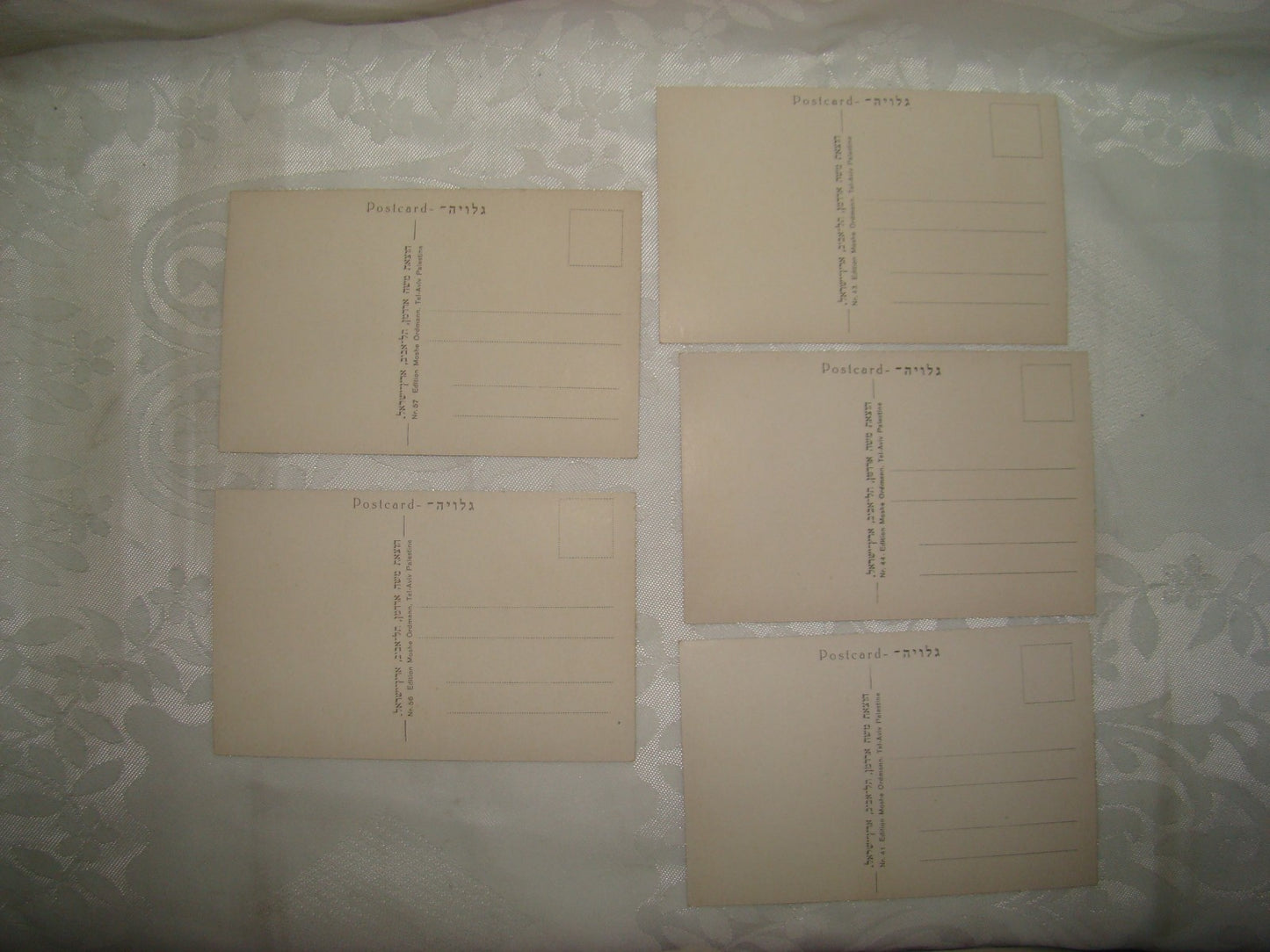 Photo Palestine Card hebrew jewish Israel Moshe Ordmann postcard Rishon LeZion