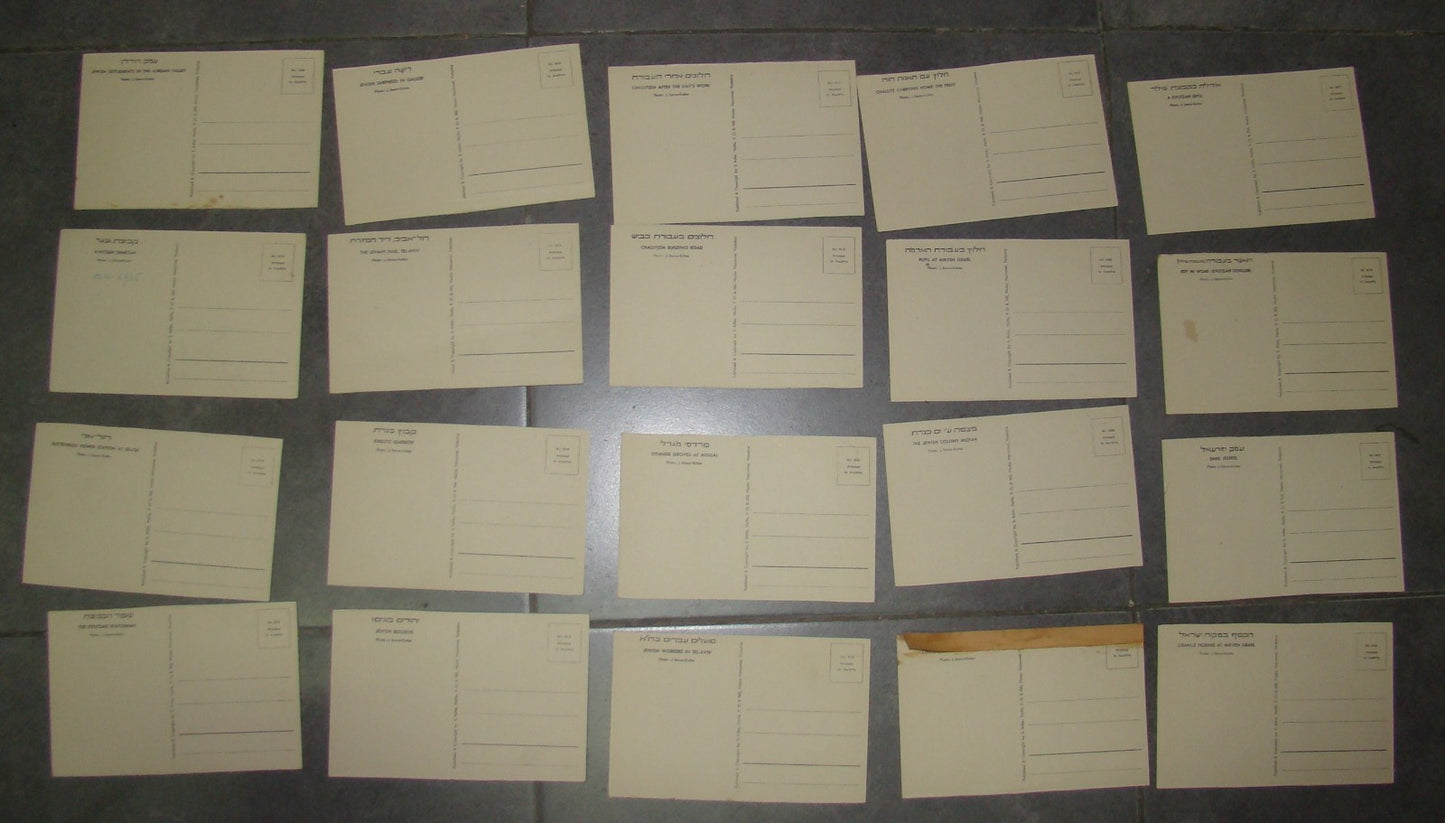 Photo Palestine Card hebrew jewish Israel Benor Kalter 20 postcard בנאור קלטר