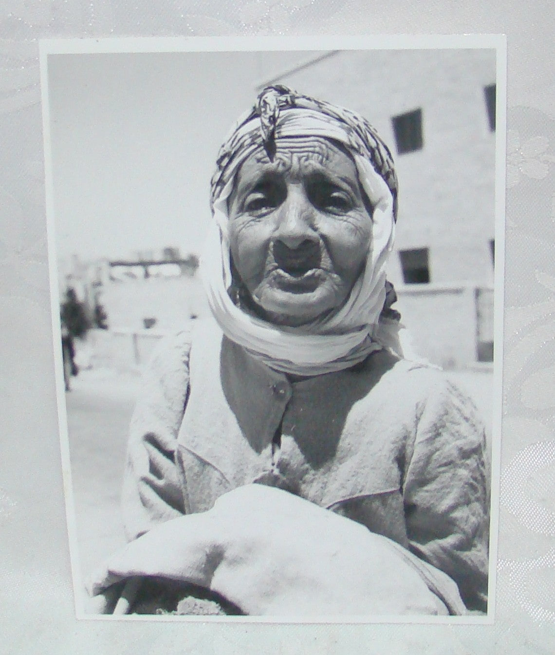 $ Photo Jewish Keren Hayesod Judaica Israel Israeli Population x8 GPO Zionist