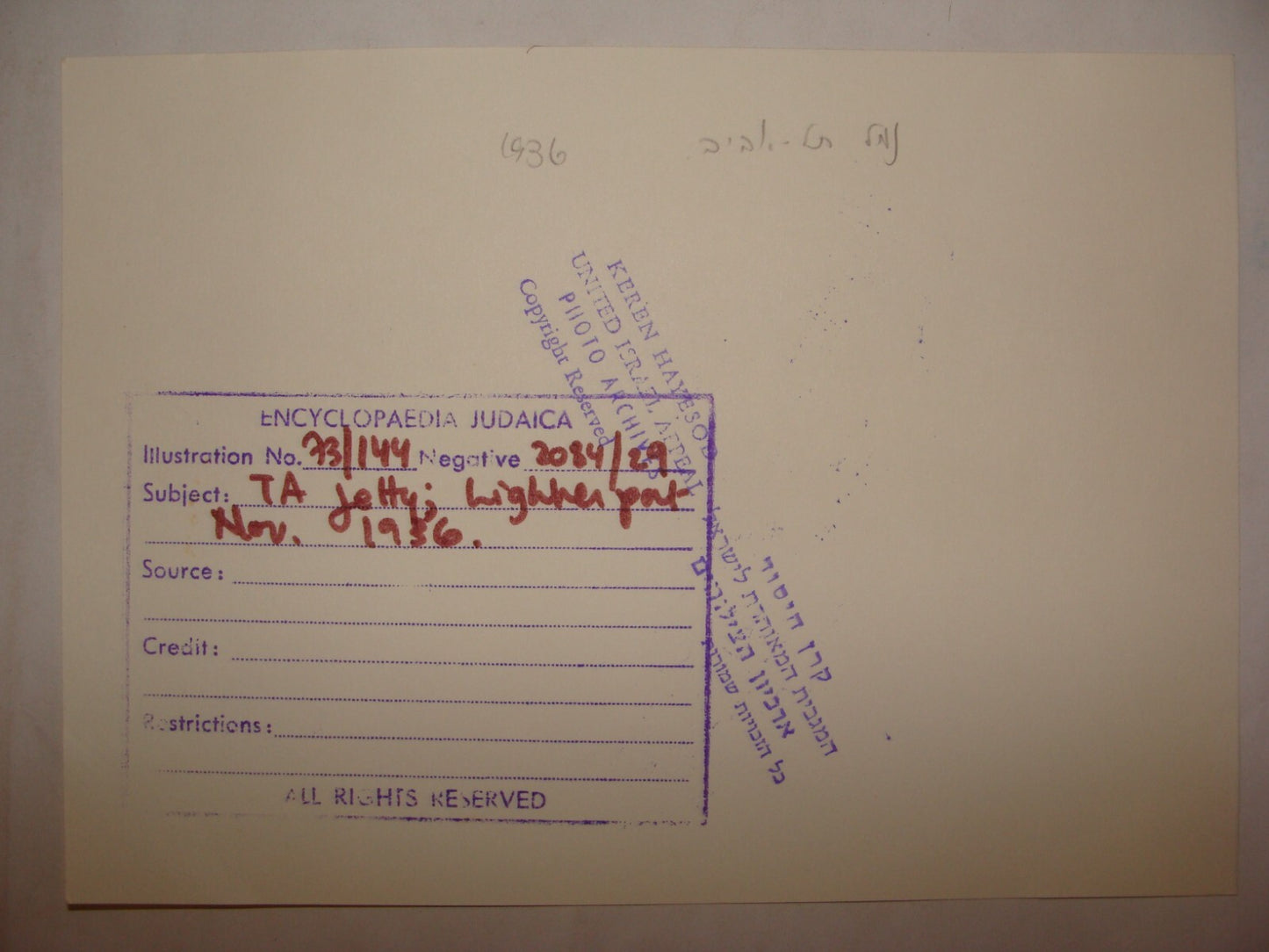 Photo Print, 1936 Palestine Israel TEL AVIV Port Workers Jewish Judaica Hebrew