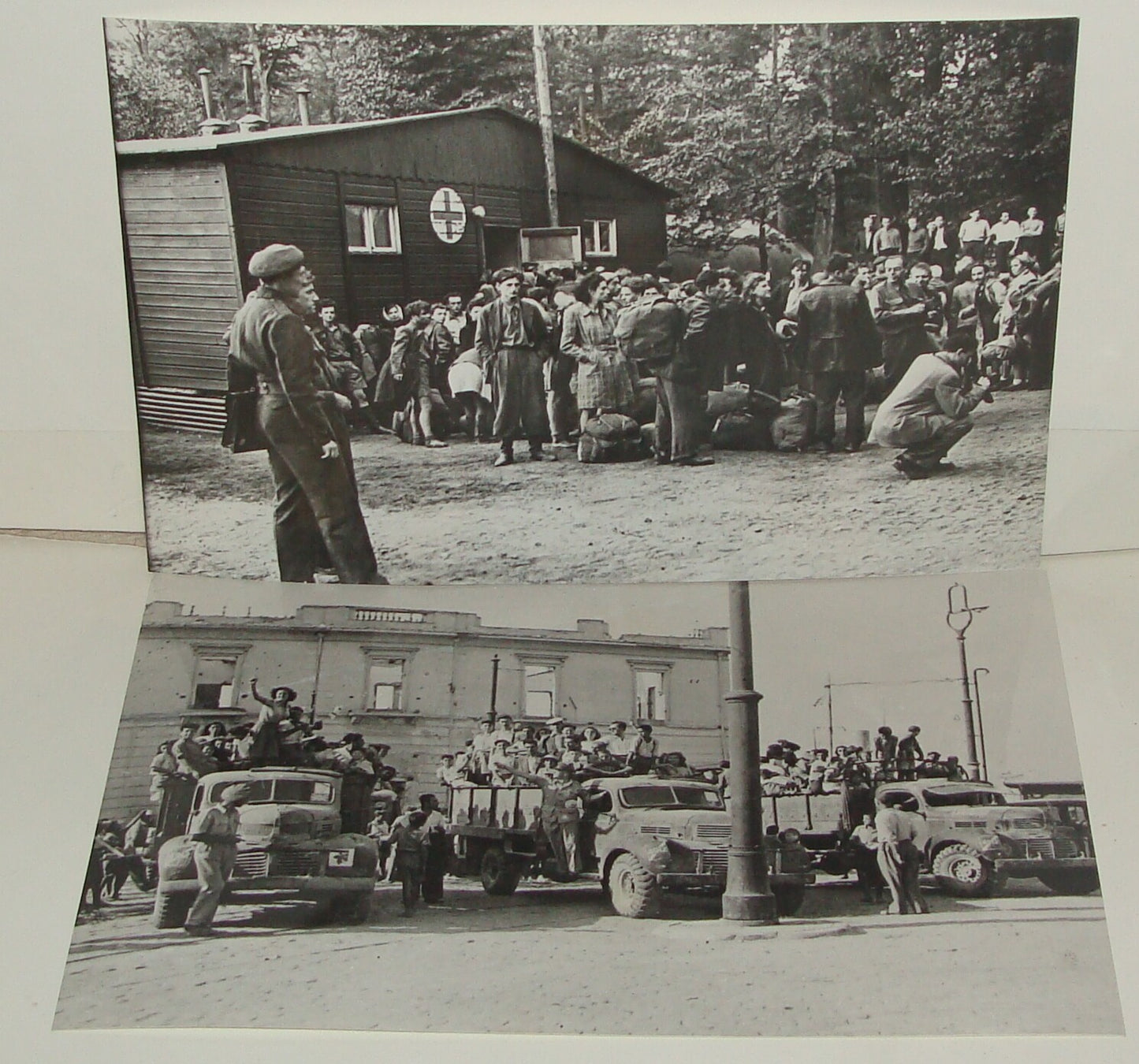 Photo Print, 1945 Jewish Judaica WWII Refugees BERIHA Survivors To Palestine x2