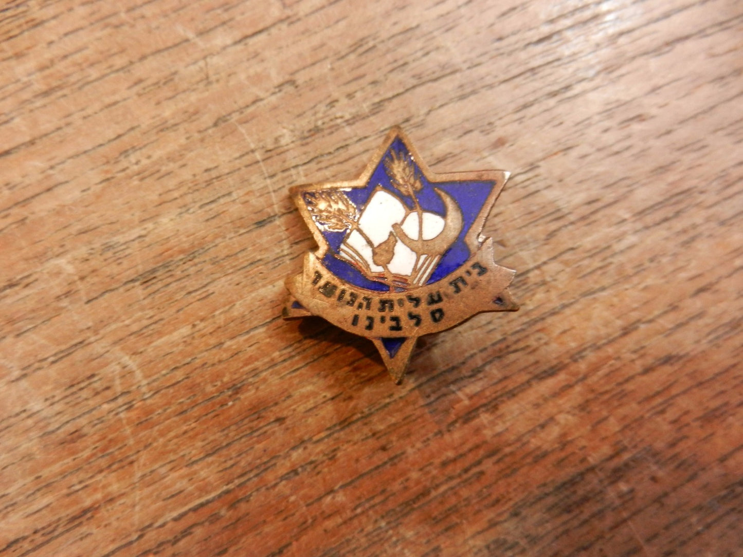 Ad Jewish RARE JUDAICA salvino children ww2 italia badge pin haliat hanoar