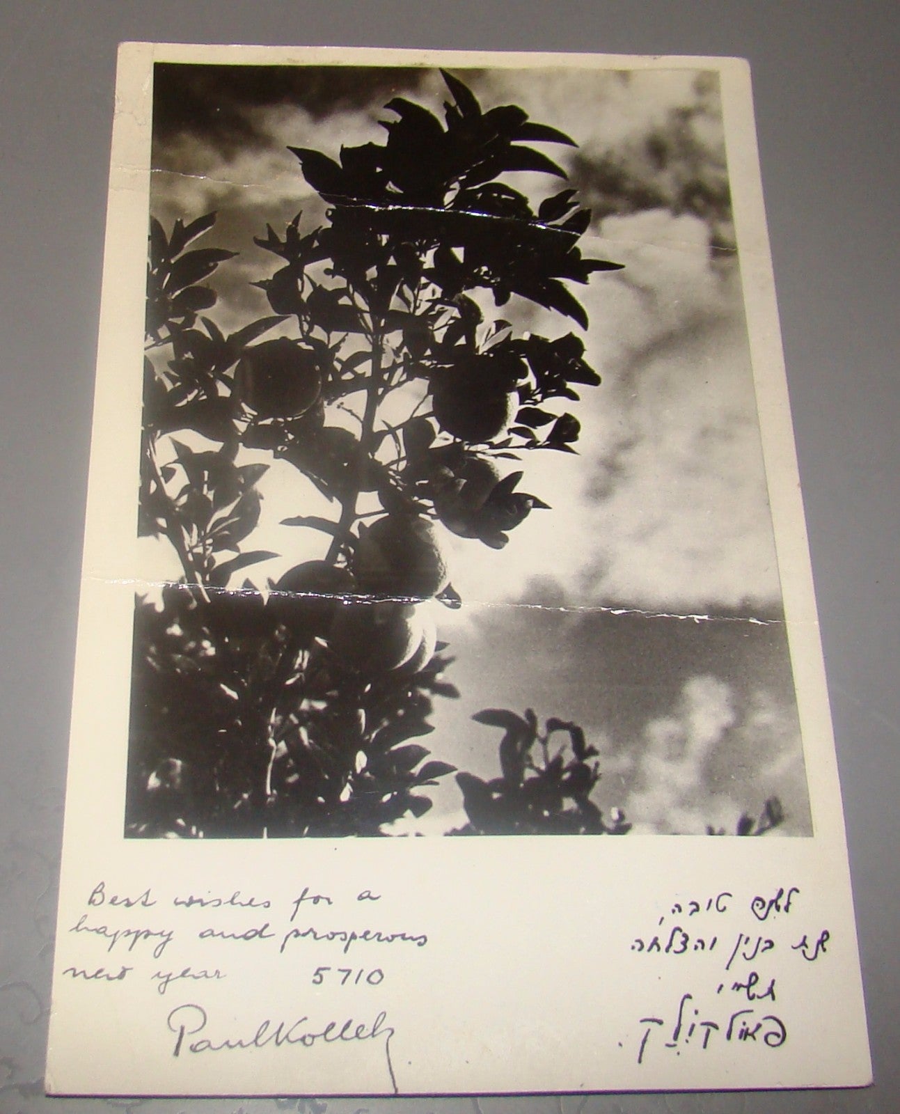 Pol Photo Jewish card vintage shana tova new year israel 1950 Paul Kolek Haganah