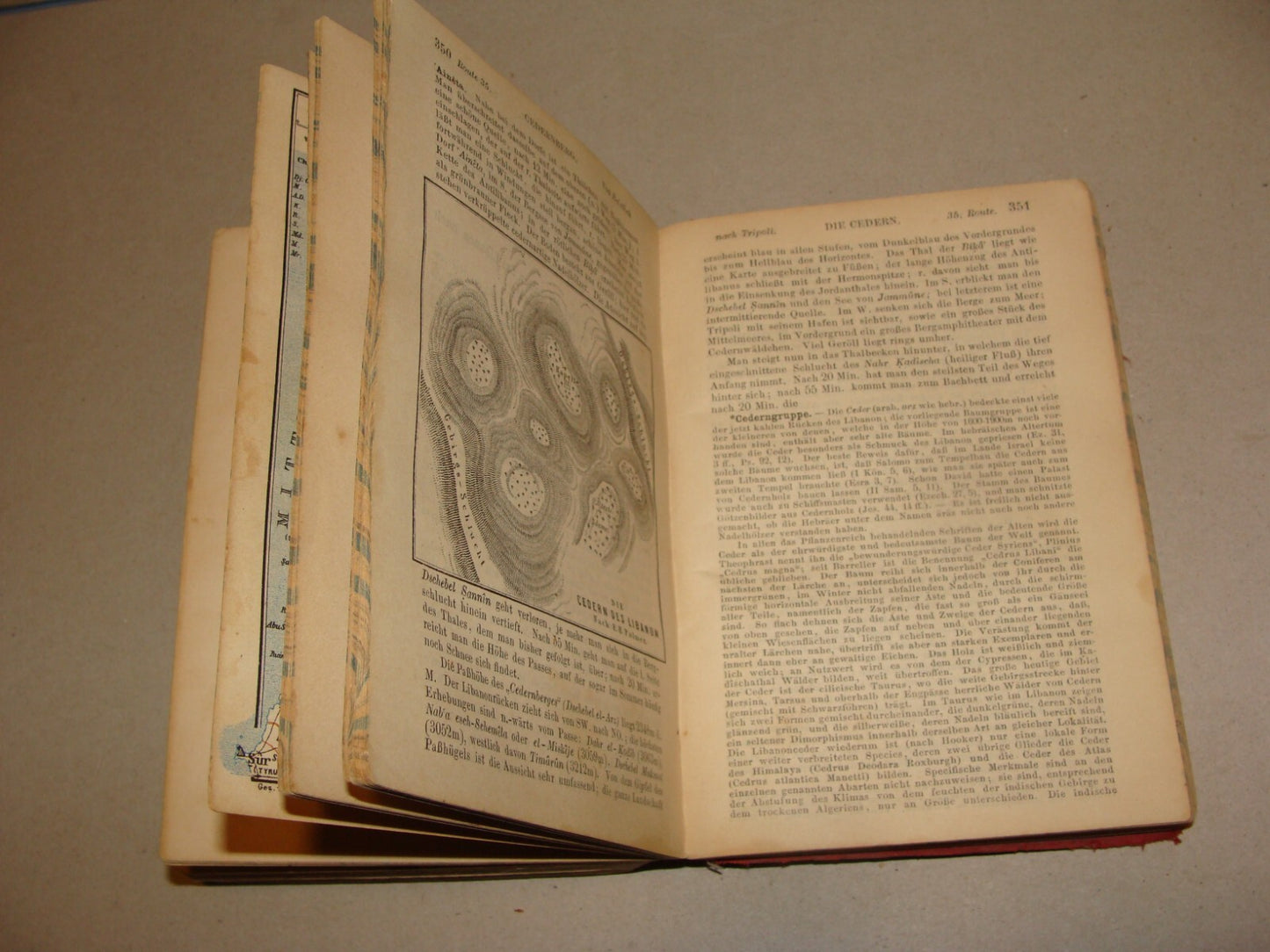 1891 PALESTINE AND SYRIA Baedeker Travel Book Map Guide *Condition