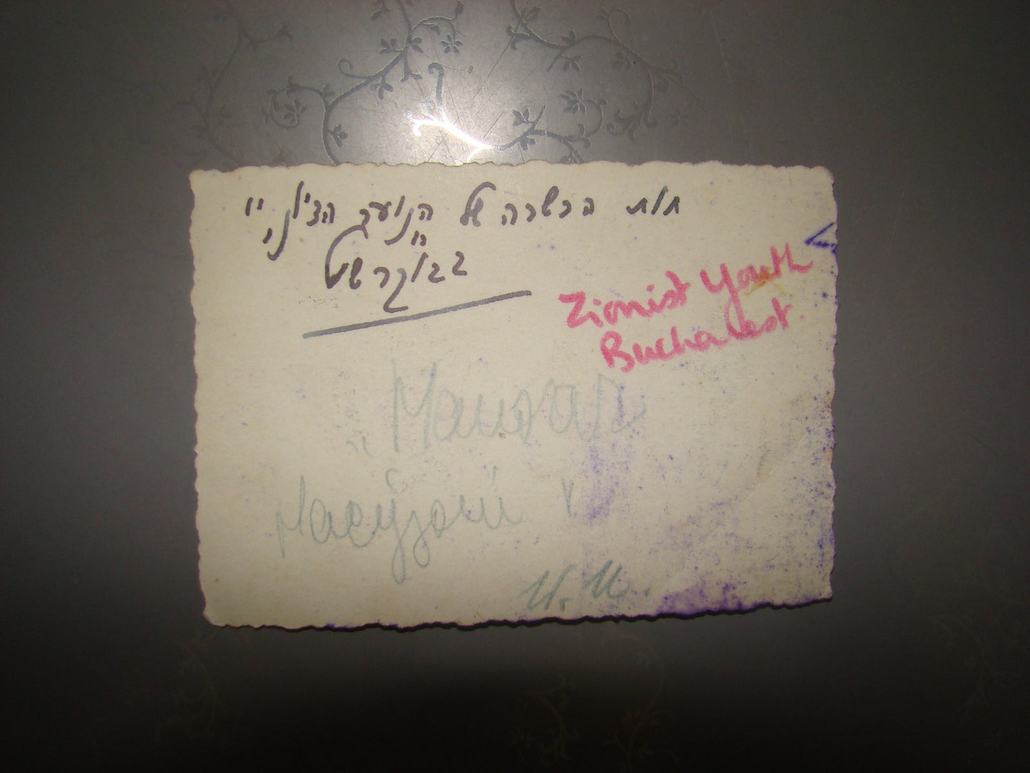 Photo Jewish judaica 1930's Romania Bucharest Jews Zionist Israel Training Farm