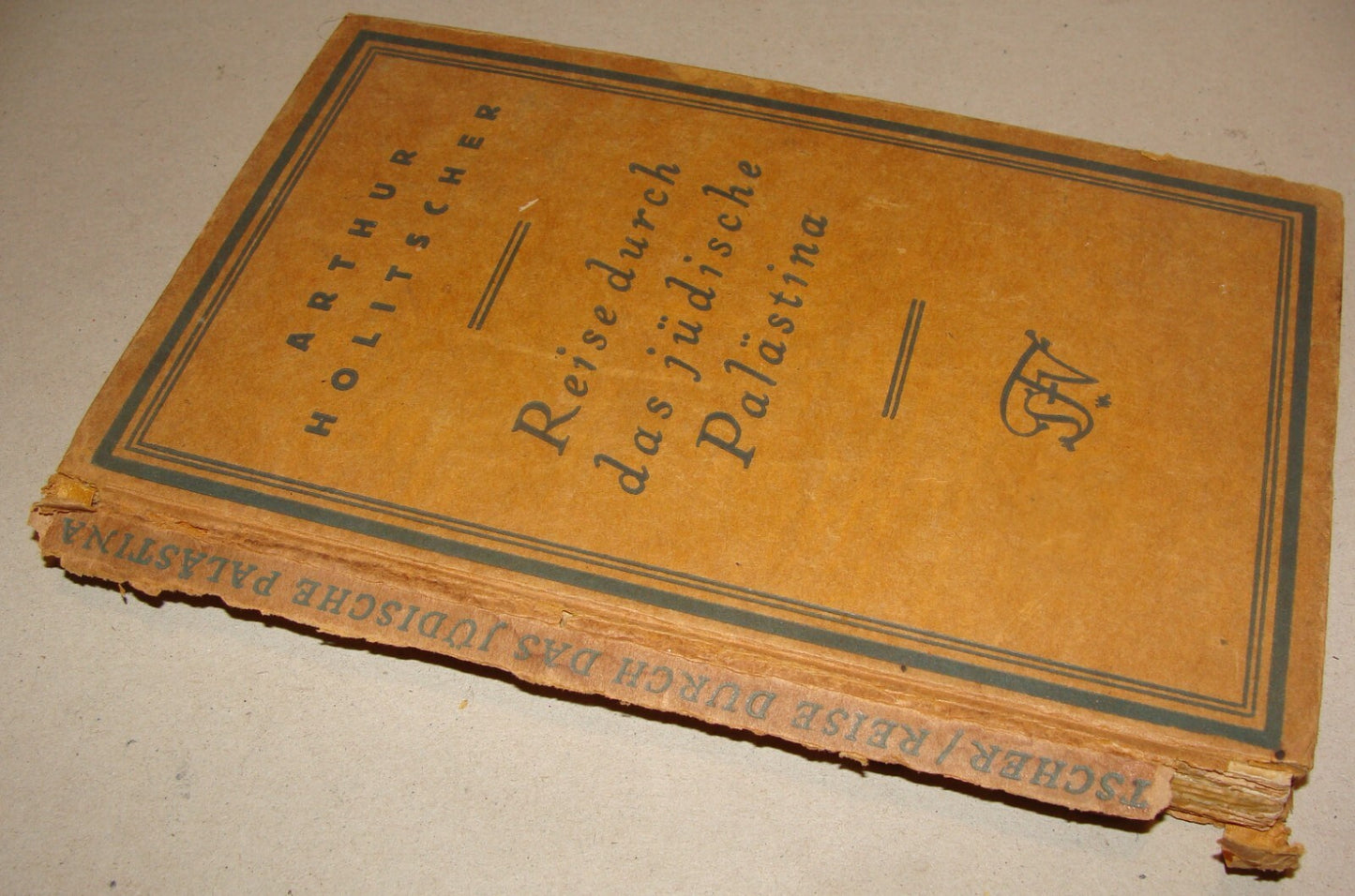RARE 1922 Travel Book JEWISH PALESTINE Photo Album Map Germany Holitscher Israel