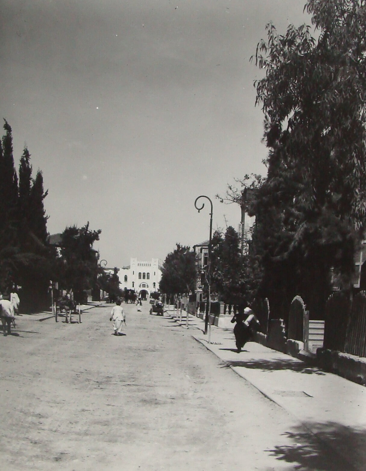 Photo Print, Jewish 1920s Palestine Israel Tel Aviv Herzl Avenue Street MATSON