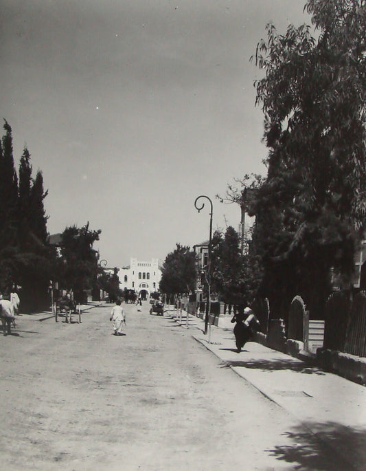Photo Print, Jewish 1920s Palestine Israel Tel Aviv Herzl Avenue Street MATSON