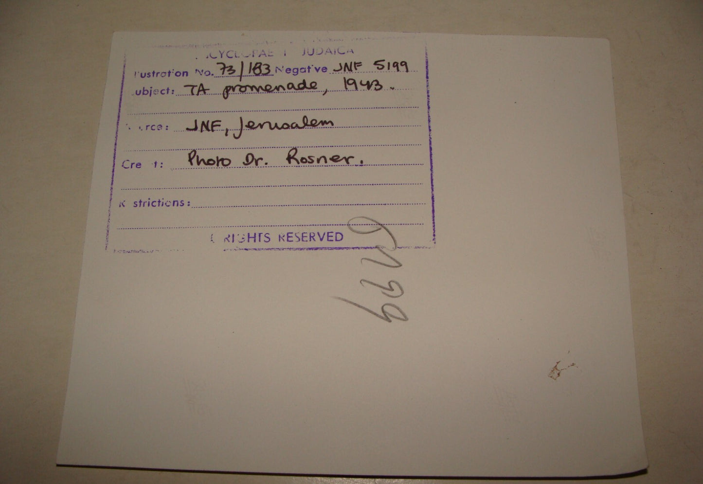 Photo Print Palestine Ad Jewish Judaica 1940s Israel Tel Aviv Promenade