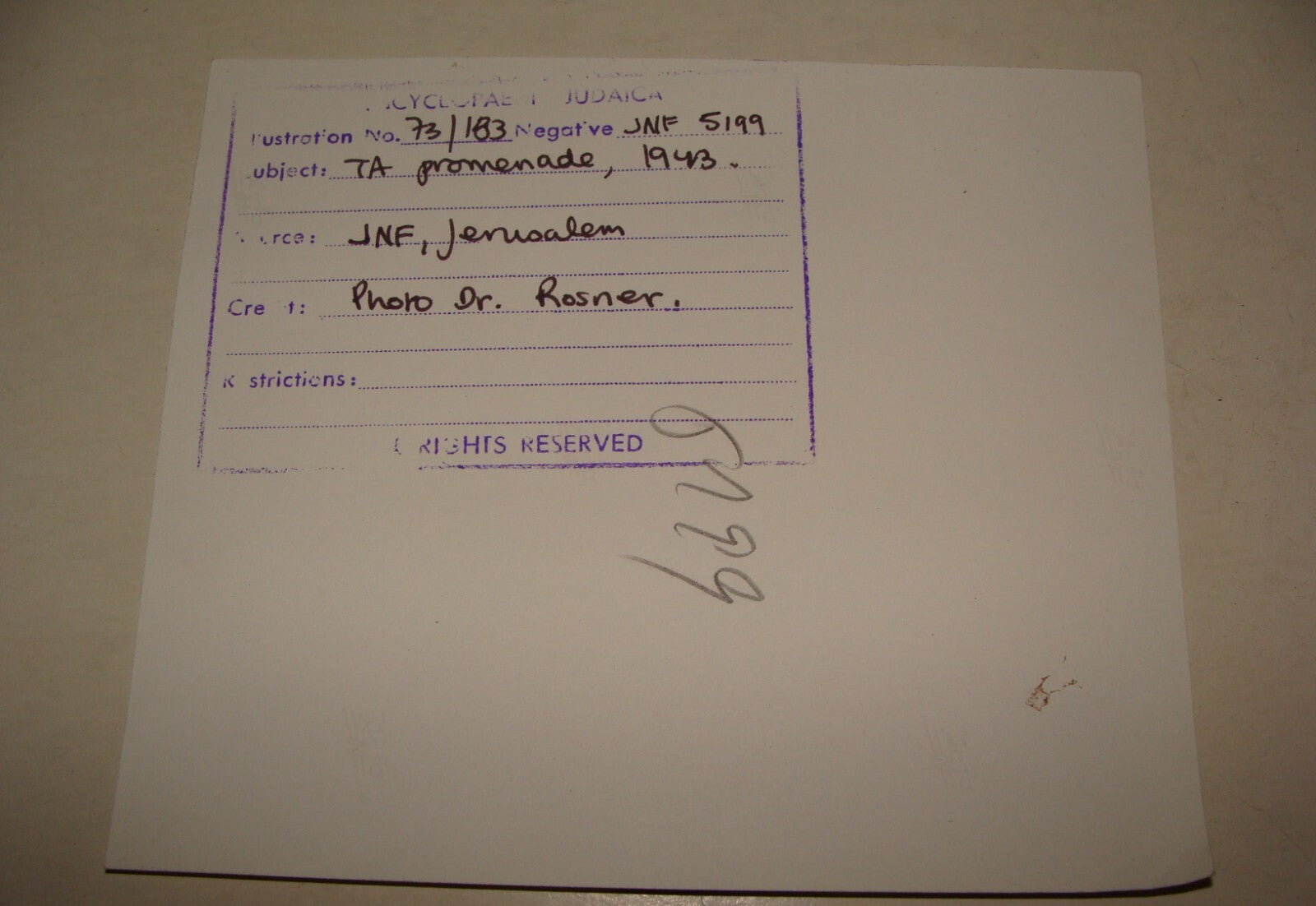 Photo Print Palestine Ad Jewish Judaica 1940s Israel Tel Aviv Promenade