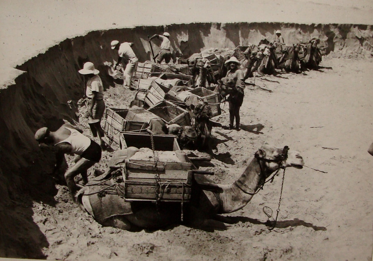 Photo Print 1939 Palestine Israel Judaica Jewish Hebrew Pioneers TEL AVIV KLUGER