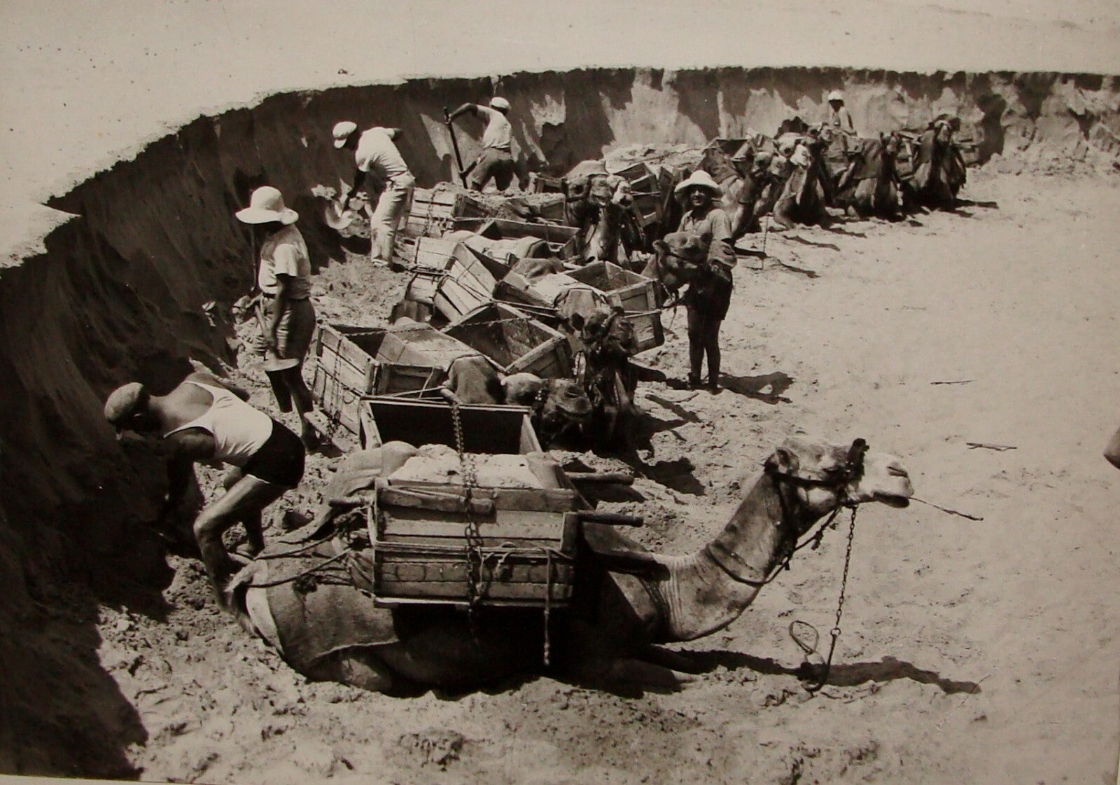 Photo Print 1939 Palestine Israel Judaica Jewish Hebrew Pioneers TEL AVIV KLUGER