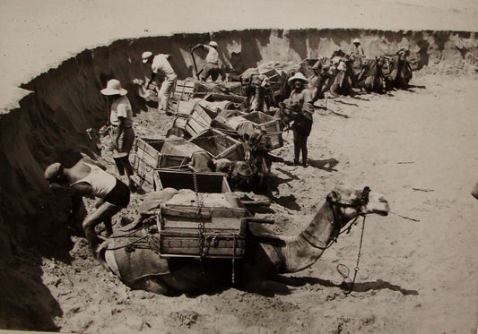 Photo Print 1939 Palestine Israel Judaica Jewish Hebrew Pioneers TEL AVIV KLUGER