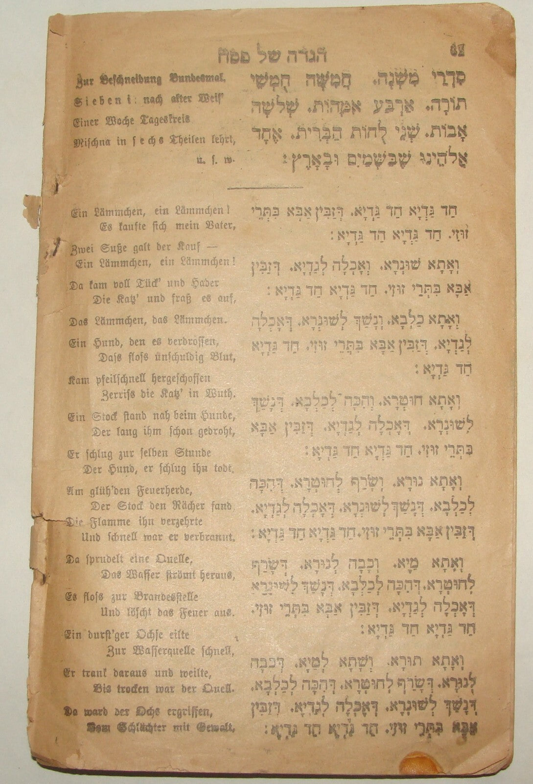 Jewish Judaica 1917 Passover Pesach Haggadah Wien Vienna German Budapest
