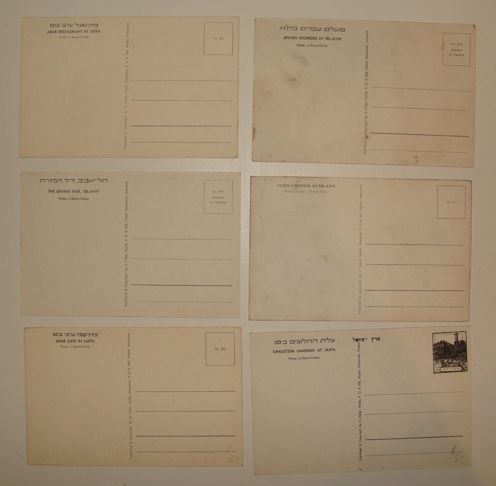 Photo Palestine Card Jewish Judaica Israel TEL AVIV Jaffa Postcard x6 BENOR
