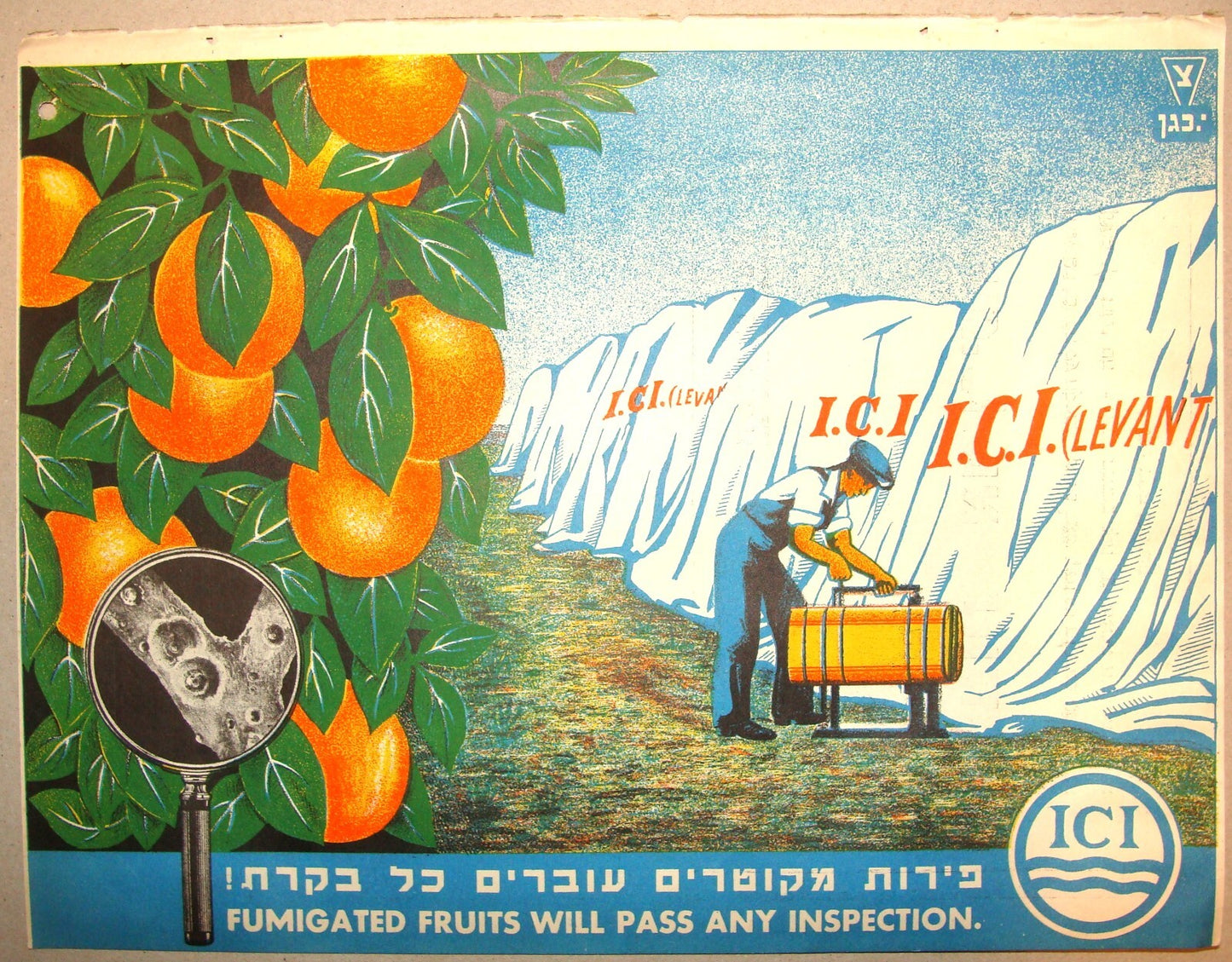 Ad Palestine Jewish Israel 1930s Poster ICI Company Agriculture Fruit Hebrew