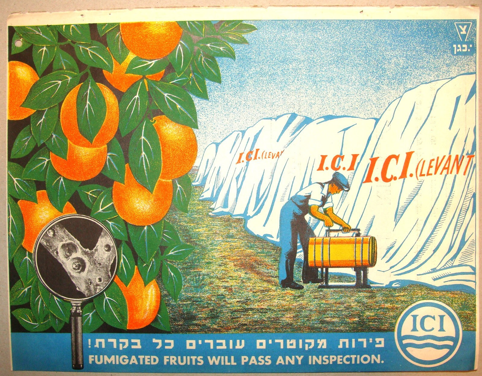 Ad Palestine Jewish Israel 1930s Poster ICI Company Agriculture Fruit Hebrew