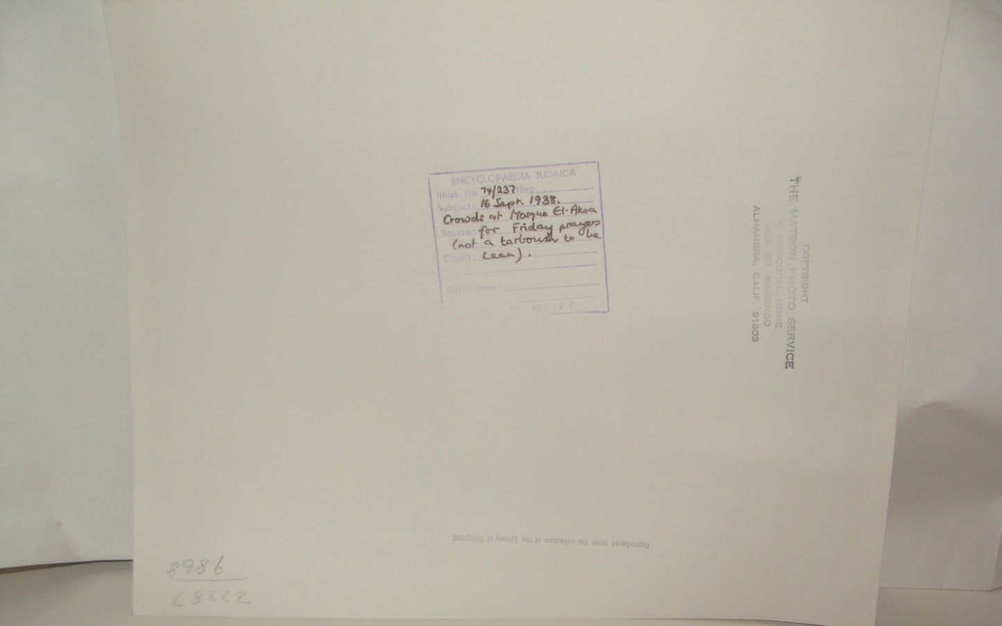 Photo Print, Palestine Israel Jerusalem Mosque al Aqsa Friday Prayer 1938