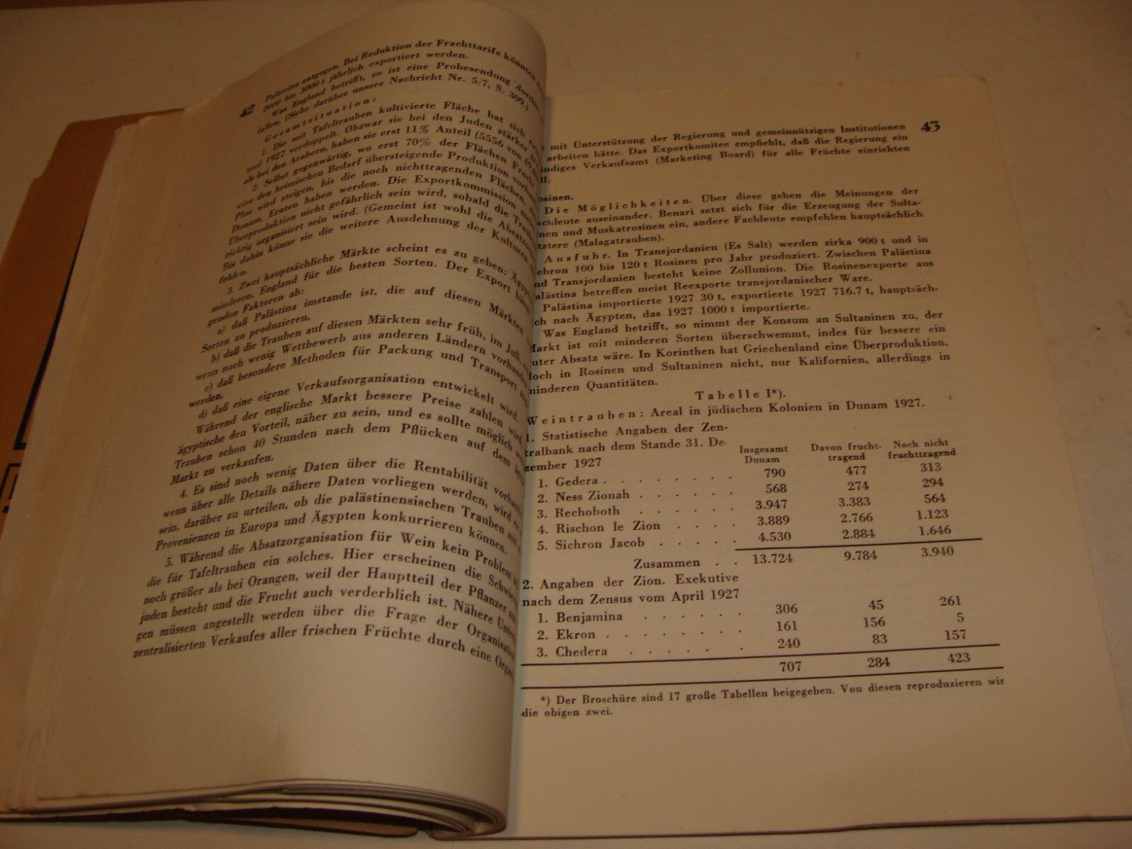 Jewish Judaica 1929 German Austria Vienna Palestine Monthly Zionist Israel