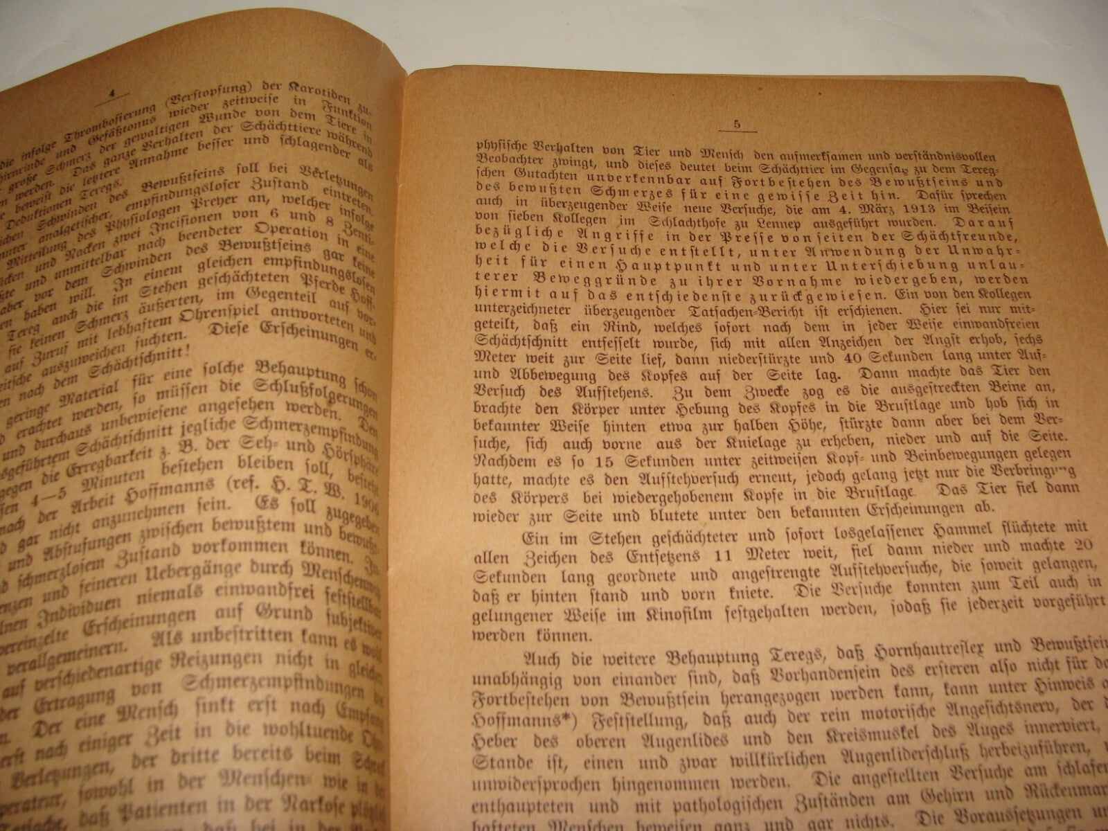 Germany Paper Jewish Judaica Antique 1910s German   Jews Slaughter Kosher Ritual