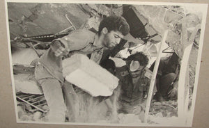 Descriptive image text